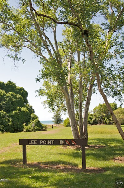 AustraliaAdelaide 10  047